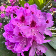 23-06-03 16-39-34 5790